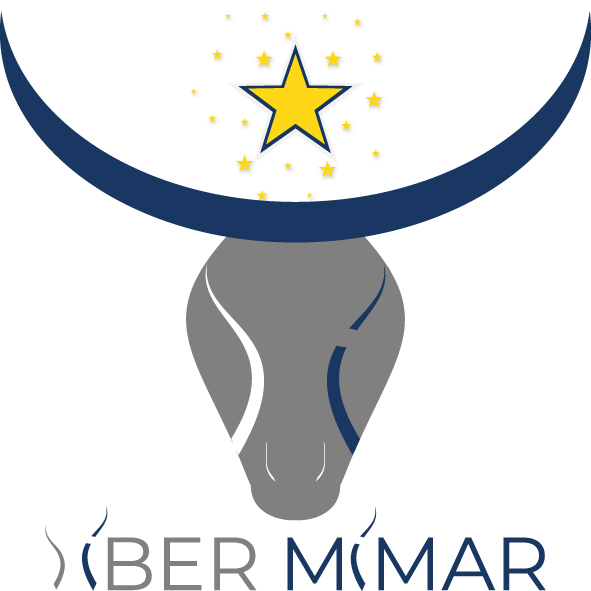 Siber Mimar